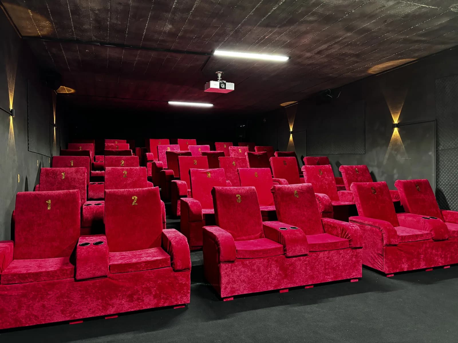 GoCinema դահլիճի մանրամասներ